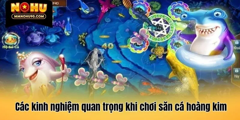 Các kinh nghiệm quan trọng khi chơi săn cá hoàng kim
